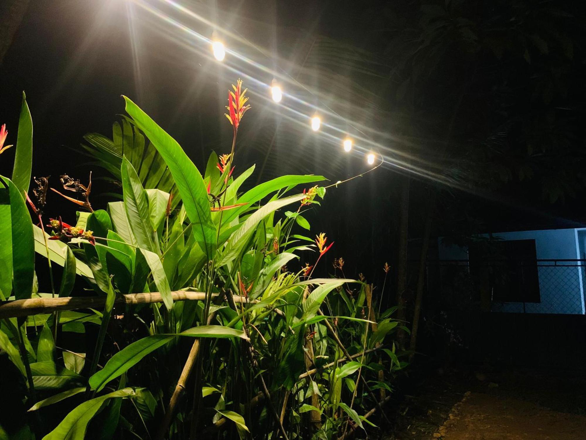 White Heaven Villa Unawatuna Bagian luar foto